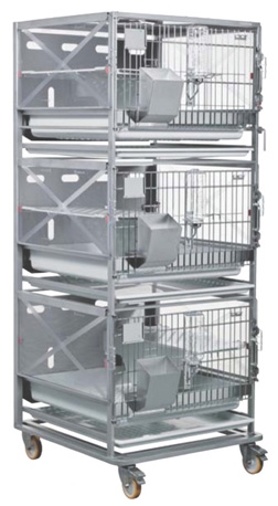 rabbit_racks