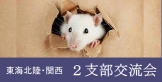 top_mainimg